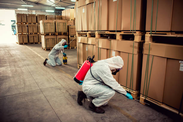 Best Best Pest Control Companies  in Newport Beach, CA