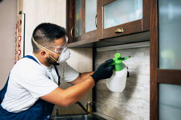 Pest Prevention Services in Newport Beach, CA