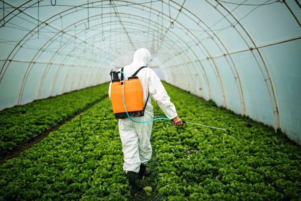 Best Pest Inspection Near Me  in Newport Beach, CA