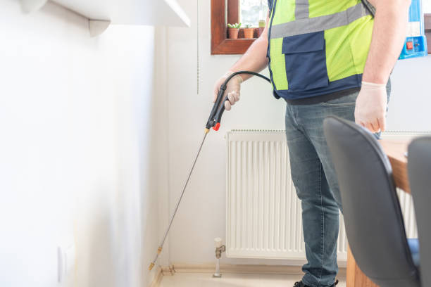 Best Flea Control Services  in Newport Beach, CA