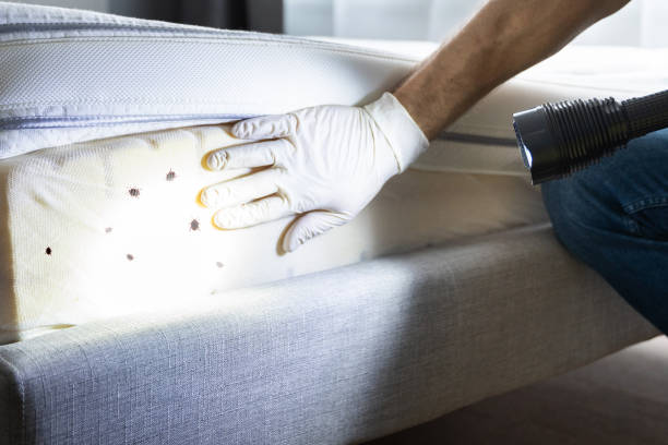 Best Cockroach Control Services  in Newport Beach, CA