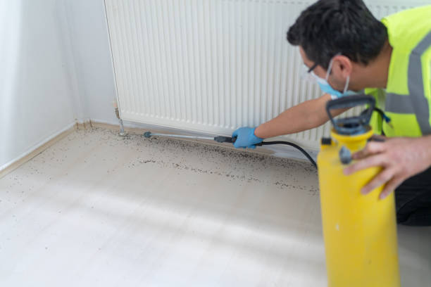 Best Commercial Pest Control Services  in Newport Beach, CA